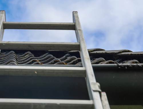 We Need More Rungs on Hamilton’s Housing Ladder